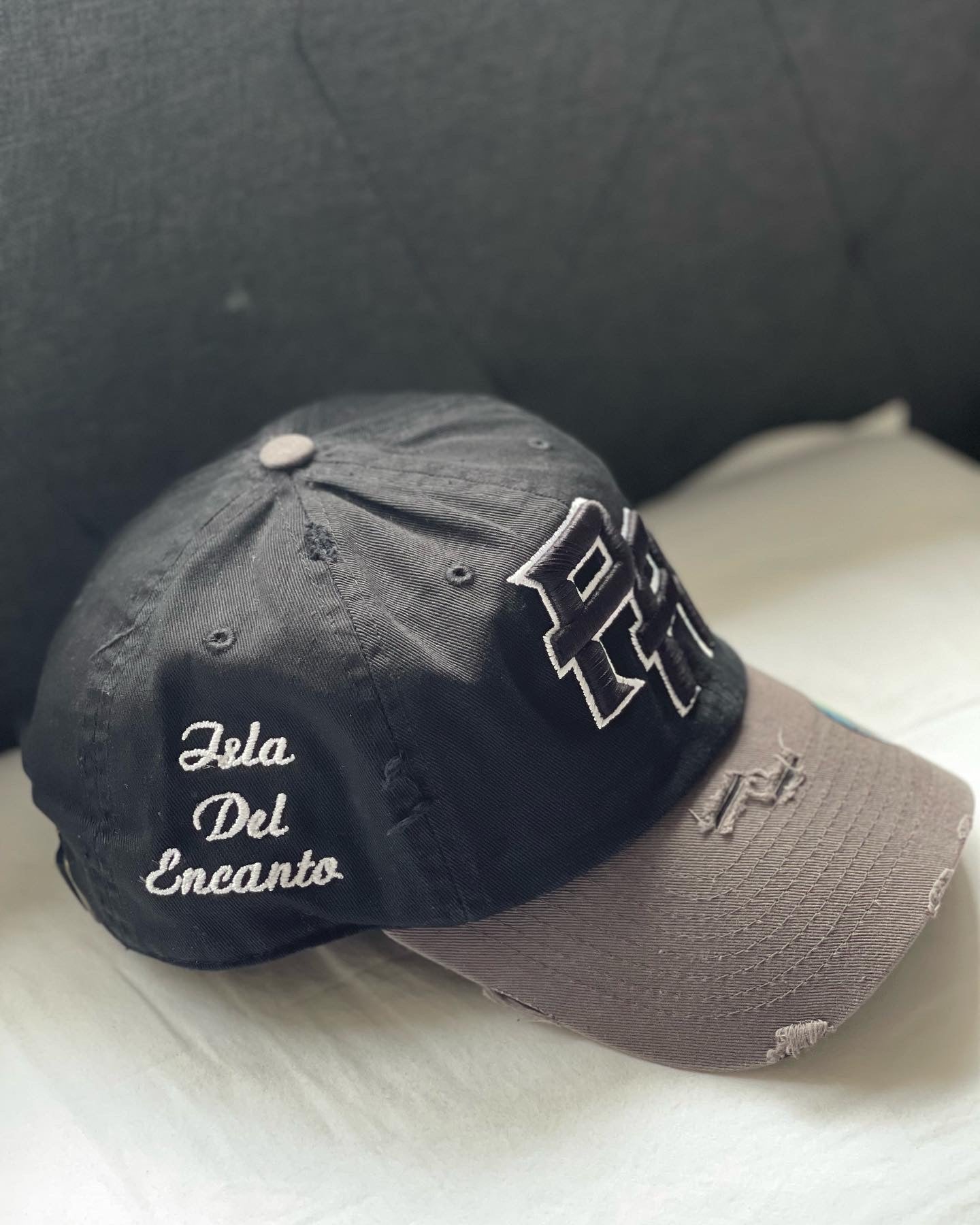 2 Tone P.R Logo With Isla Del Encanto On The Side