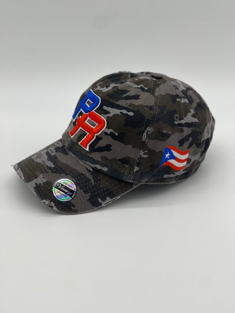 P.R Logo With Flag In The Side