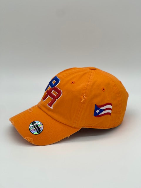 P.R Logo With Flag In The Side