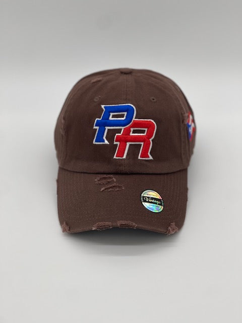 P.R Logo With Flag In The Side