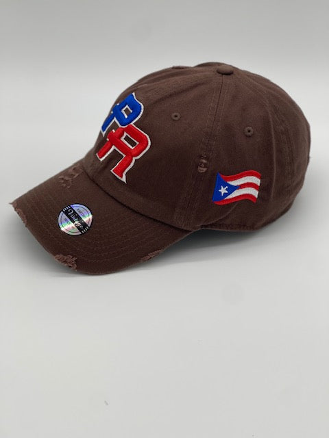 P.R Logo With Flag In The Side