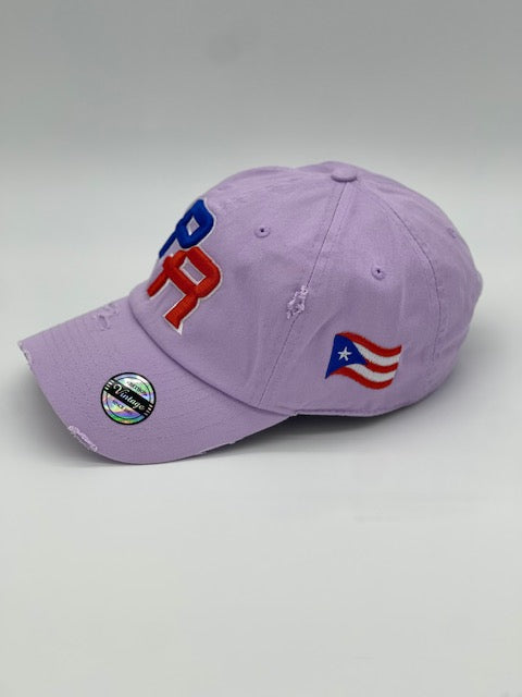 P.R Logo With Flag In The Side
