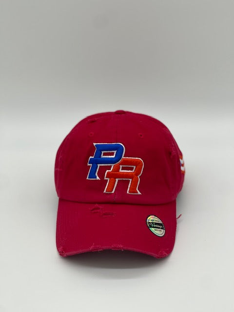P.R Logo With Flag In The Side