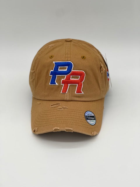 P.R Logo With Flag In The Side
