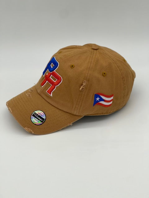 P.R Logo With Flag In The Side