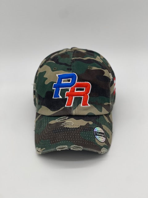 P.R Logo With Flag In The Side